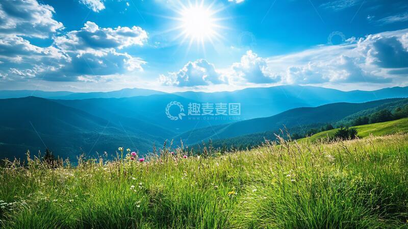 高清大图下载【趣麦麦图】草原上的一束阳光