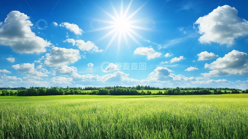 高清大图下载【趣麦麦图】护眼桌面壁纸4