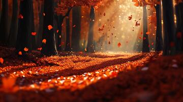 秋季林间小路落叶1