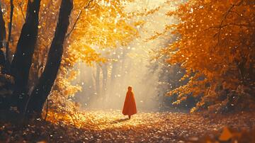 金色树叶小路落叶行人9