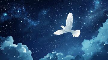 月夜飞鸟飞鸟梦幻梦想