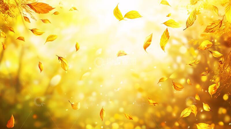 高清大图下载【趣麦麦图】金秋落叶背景