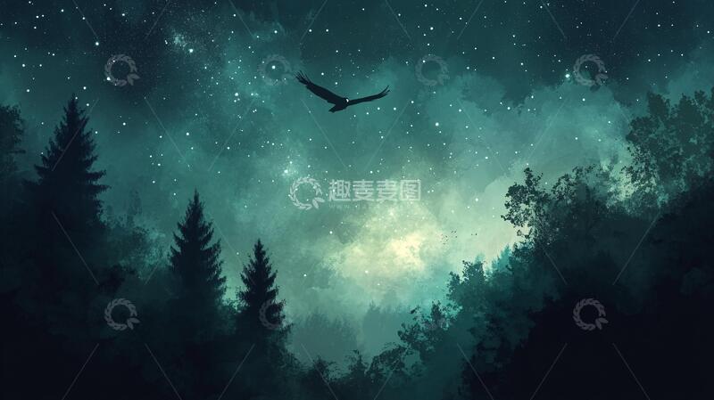 高清大图下载【趣麦麦图】夜色森林景森林插画梦幻