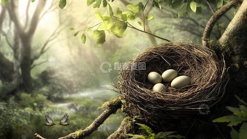 高清大图下载【趣麦麦图】鸟巢图片素材