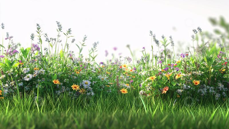 高清大图下载【趣麦麦图】鲜花绿草背景