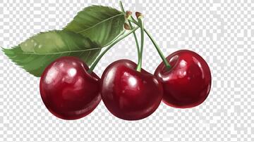 写实樱桃樱桃手绘素材