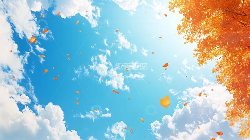高清大图下载【趣麦麦图】黄色树叶蓝天白云