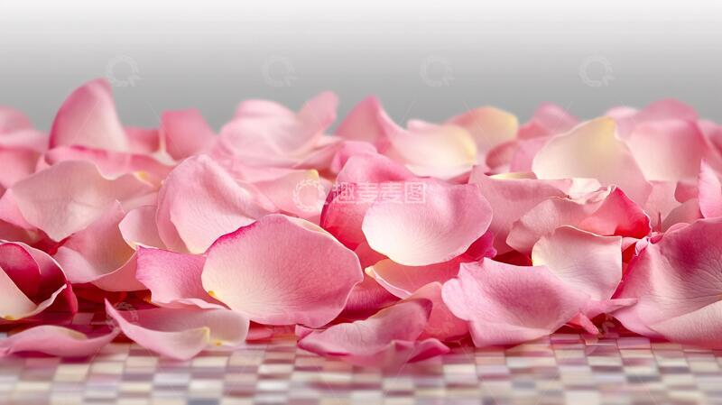 高清大图下载【趣麦麦图】高清仿真花瓣4