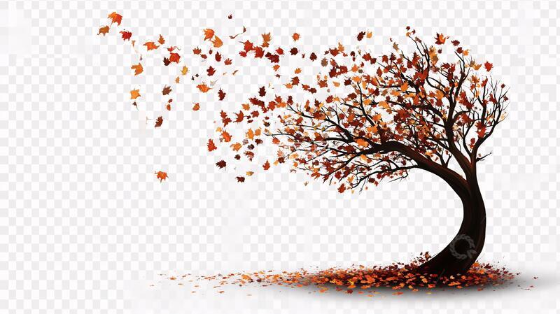 高清大图下载【趣麦麦图】漂浮背景枫树