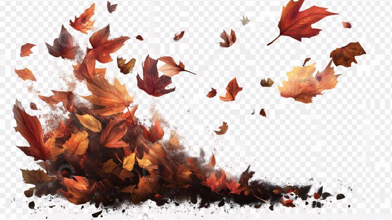 高清大图下载【趣麦麦图】手绘散落枫叶1