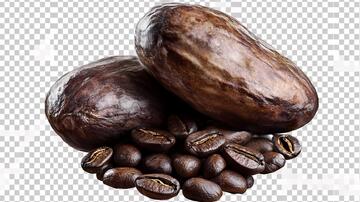 碧根果白底图片