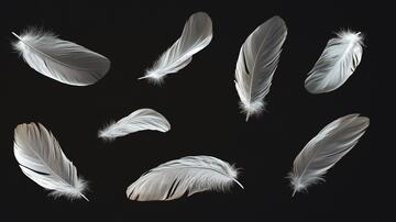 翅膀素材翅膀素材元素