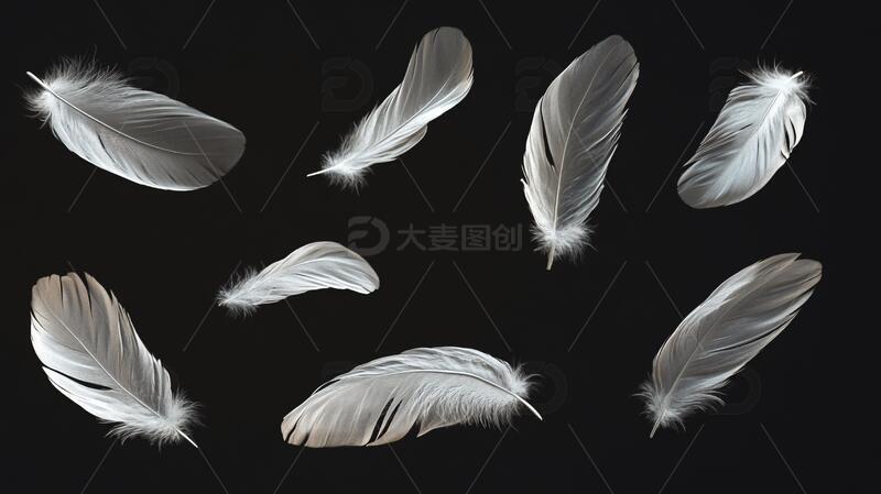 高清大图下载【趣麦麦图】翅膀素材翅膀素材元素