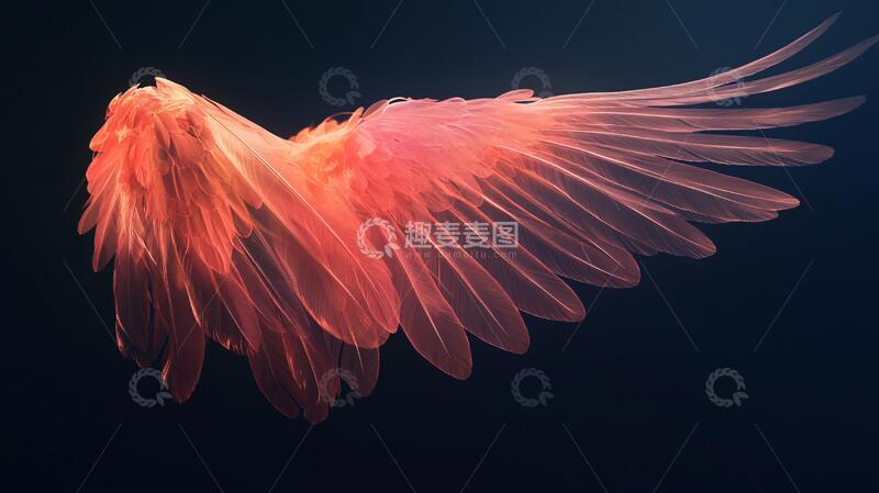 高清大图下载【趣麦麦图】光线翅膀唯美翅膀设计2