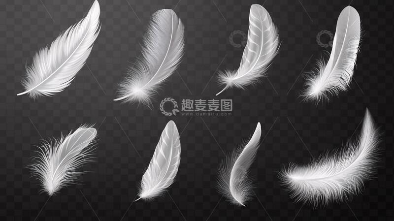 高清大图下载【趣麦麦图】翅膀素材翅膀动物鹅毛