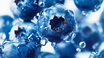 高清蓝莓果蓝莓高清水珠