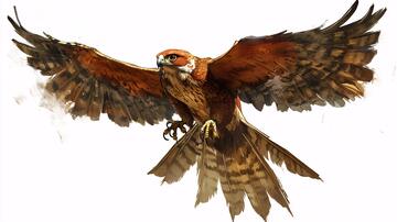 手绘动物鹰手绘雄鹰插画