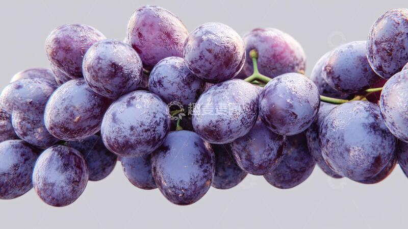 高清大图下载【趣麦麦图】超清大葡萄葡萄高清特写1