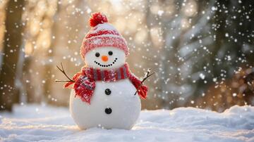 户外小雪人雪人雪花雪景1