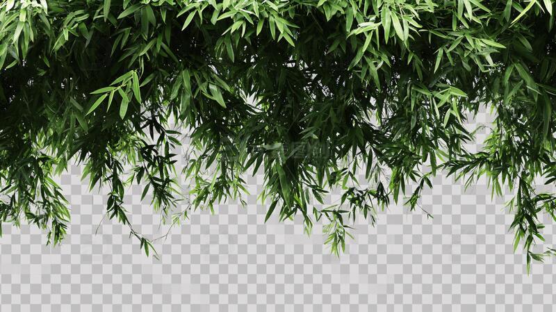 高清大图下载【趣麦麦图】竹叶竹枝素材