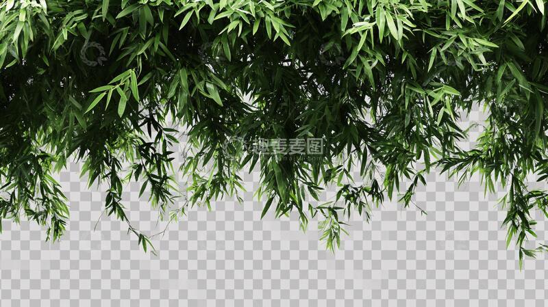高清大图下载【趣麦麦图】竹叶竹枝素材
