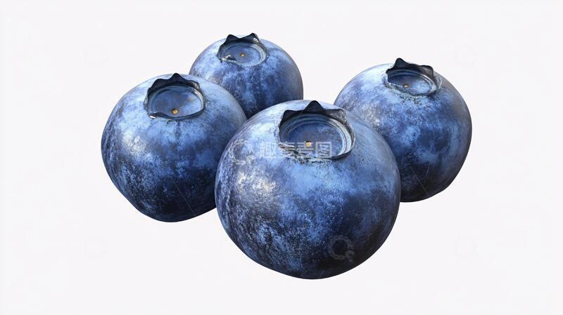 高清大图下载【趣麦麦图】鼠绘蓝莓蓝莓插画水果