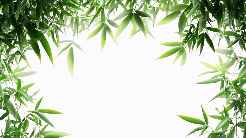 高清大图下载【趣麦麦图】竹叶边框素材