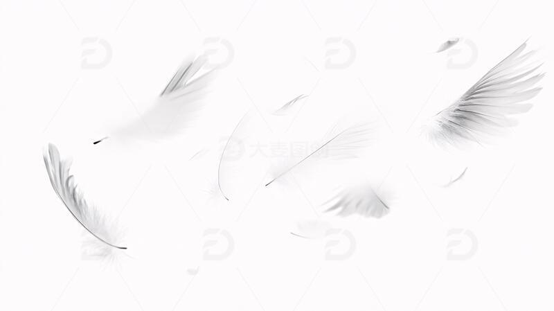 高清大图下载【趣麦麦图】翅膀元素素材