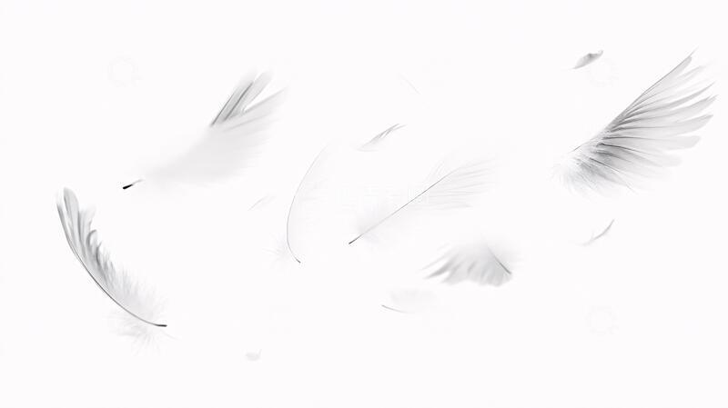 高清大图下载【趣麦麦图】翅膀元素素材