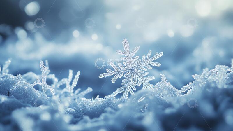 高清大图下载【趣麦麦图】唯美雪花雪花梦幻霜花