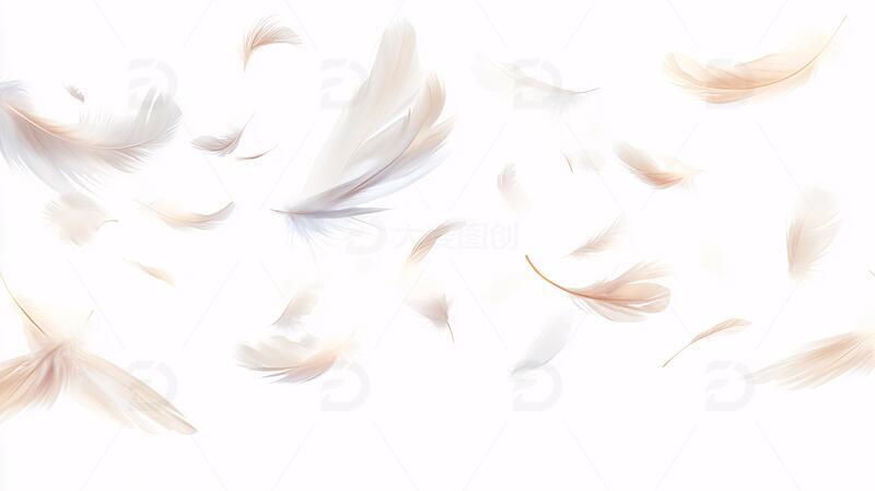 高清大图下载【趣麦麦图】梦幻飞鸟自由插画背景2