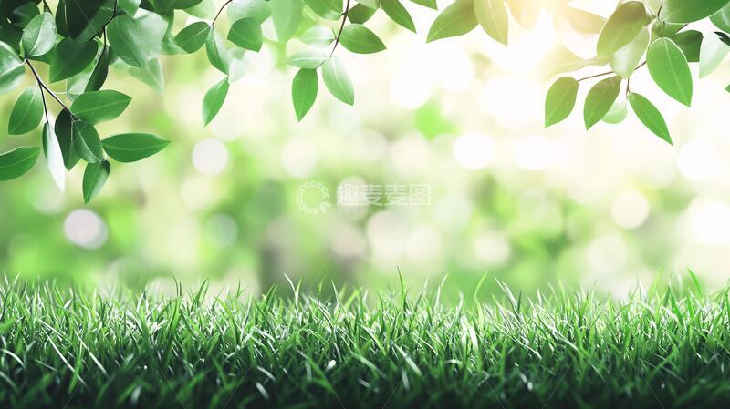 高清大图下载【趣麦麦图】阳光草地绿植1