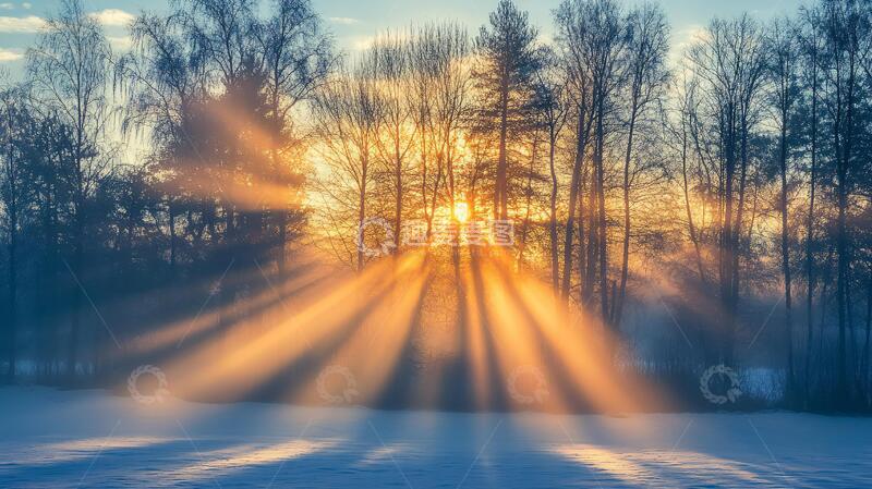 高清大图下载【趣麦麦图】雪地林间晨光