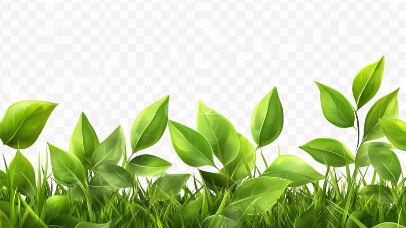 高清大图下载【趣麦麦图】绿叶设计素材