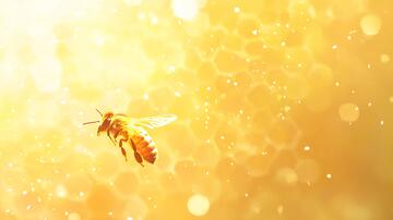 蜜蜂背景素材