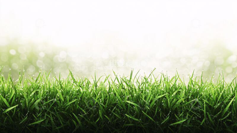 高清大图下载【趣麦麦图】草地与阳光草地背景绿草
