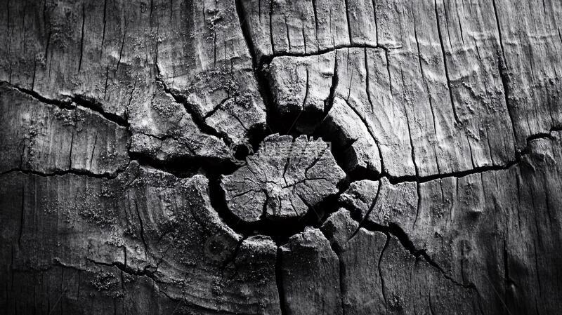 高清大图下载【趣麦麦图】木头裂痕木头裂纹木材