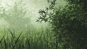 迷雾翠竹迷雾梦幻云雾