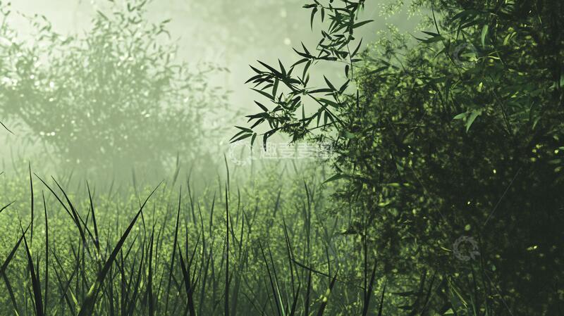 高清大图下载【趣麦麦图】迷雾翠竹迷雾梦幻云雾
