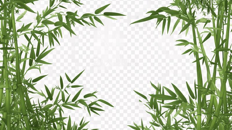 竹丛框架构图