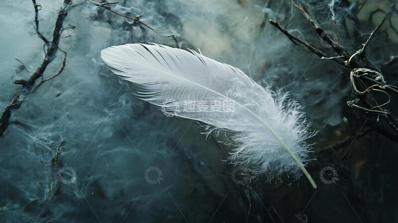 高清大图下载【趣麦麦图】洁白的翅膀梦幻翅膀洁白