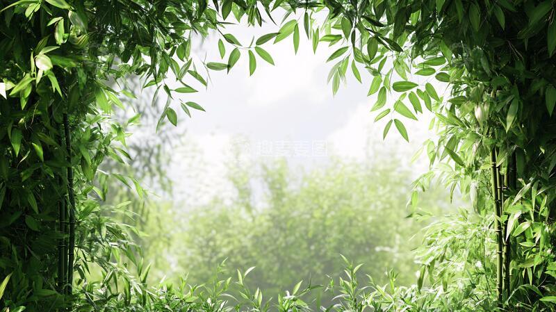 高清大图下载【趣麦麦图】窗外竹景茂密竹林