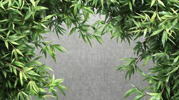 竹叶背景墙竹叶边框竹枝