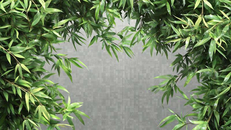 竹叶背景墙竹叶边框竹枝