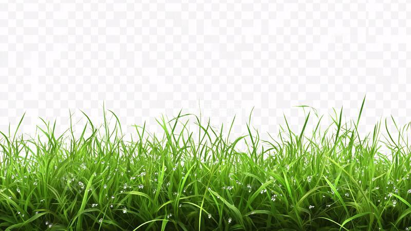 高清大图下载【趣麦麦图】小草素材下载1