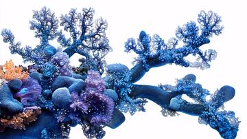 珊瑚小品摆件小品雕塑