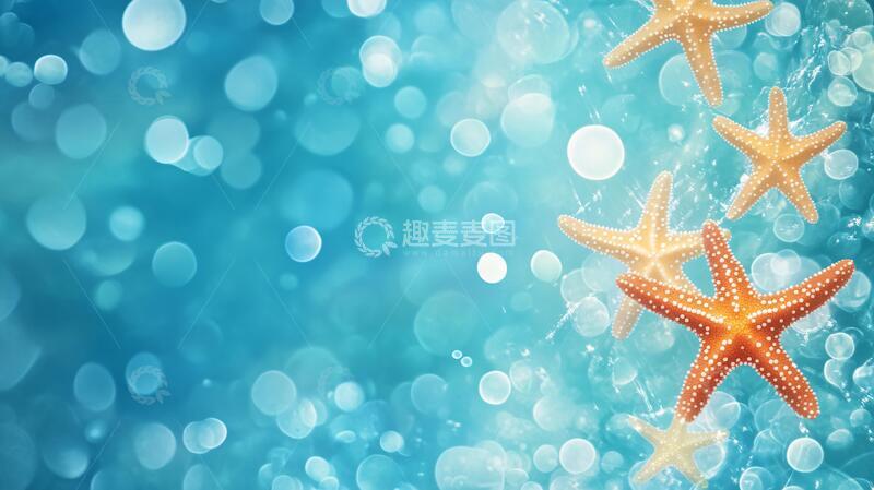 高清大图下载【趣麦麦图】海滩水下星鱼景