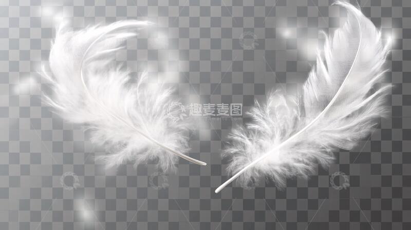 高清大图下载【趣麦麦图】鹅毛金翅膀鹅毛光线