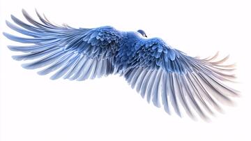 翅膀素材翅膀素材天使