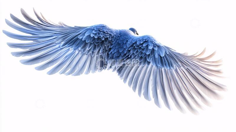 高清大图下载【趣麦麦图】翅膀素材翅膀素材天使